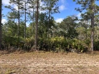 212 (Blk 152 L 6) ORCHID DRIVE INDIAN LAKE ESTATES, FL 33855