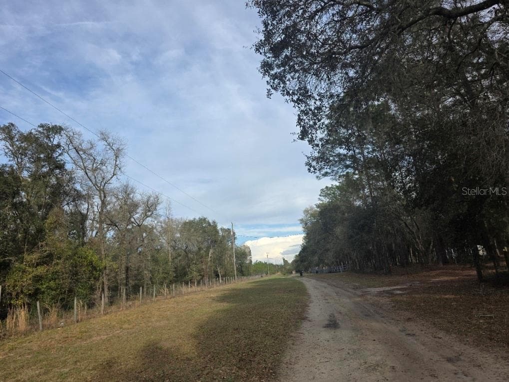 NE 62 PLACE WILLISTON, FL 32696
