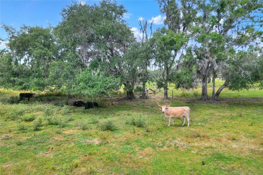 0 S CR 39 LITHIA, FL 33547