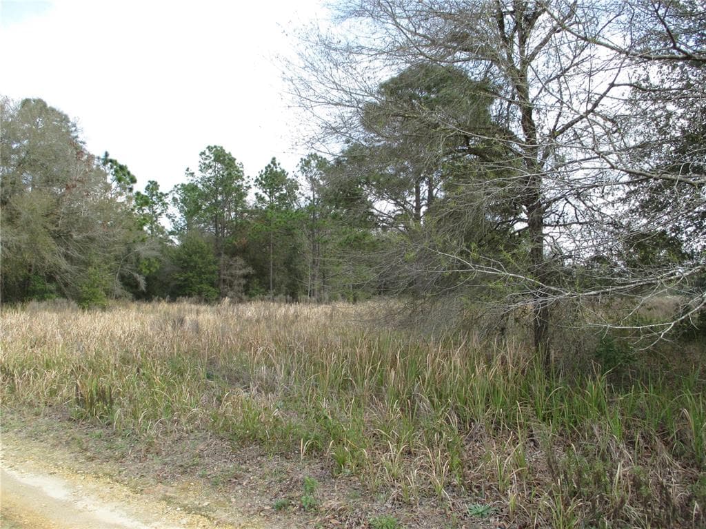 SW 24TH PLACE OCALA, FL 34481