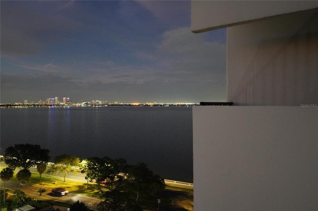 4141 BAYSHORE BOULEVARD UNIT 1106