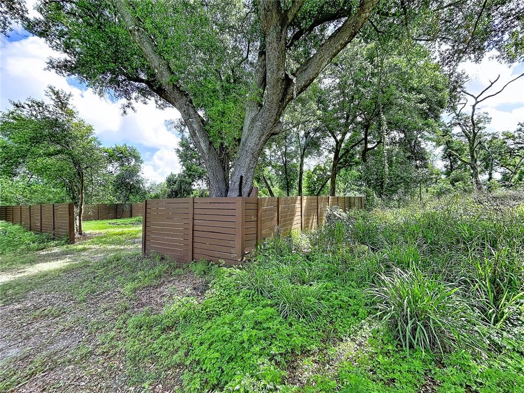 1029 ROBSON AVENUE SEFFNER, FL 33584