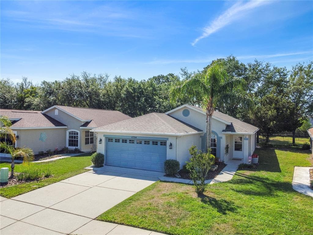11704 NEW HAVEN DRIVE SPRING HILL, FL 34609