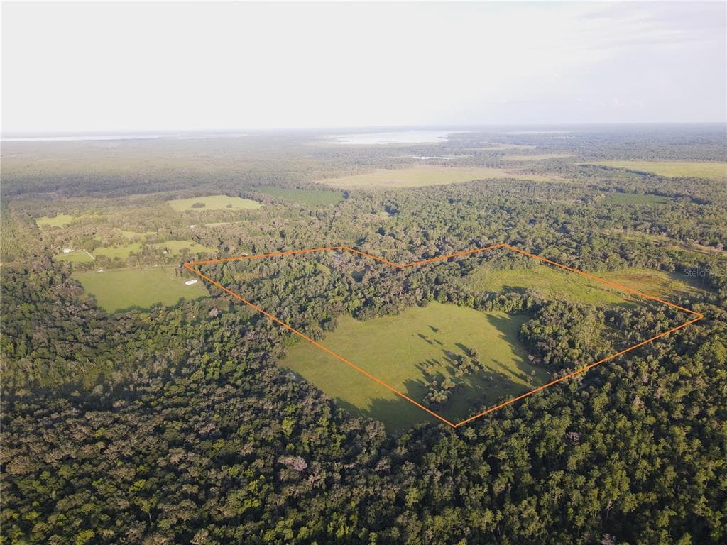 11816 SE COUNTY ROAD 234 MICANOPY, FL 32667