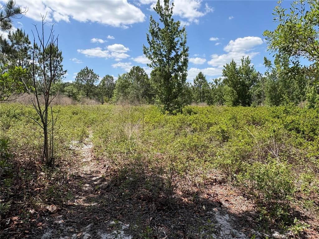 SAN JUAN AVE POLK CITY, FL 33868