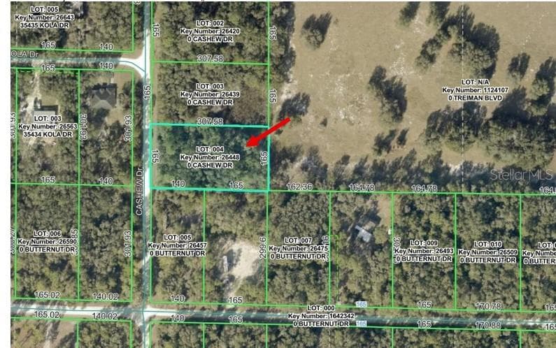 00 CASHEW DRIVE WEBSTER, FL 33597