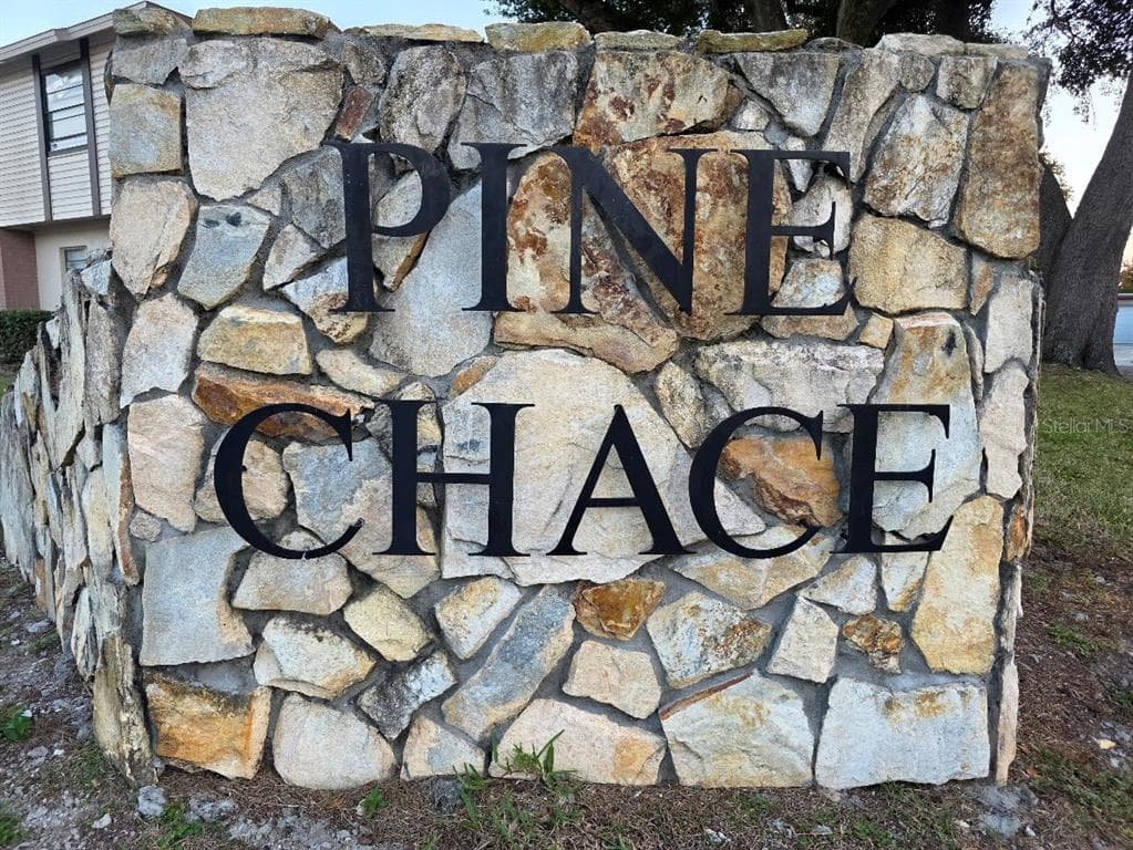 2031 PINE CHACE COURT TAMPA, FL 33613