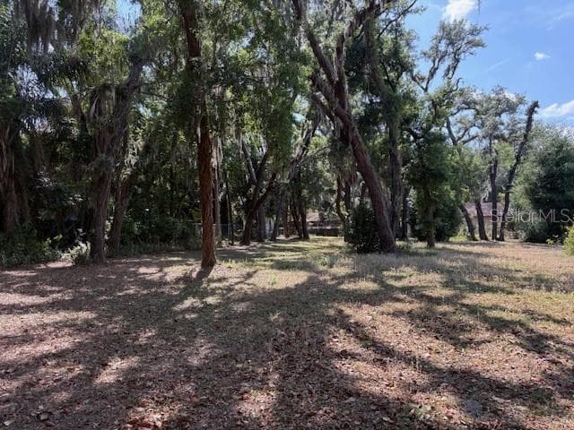 112 N LOCKMOOR AVENUE TEMPLE TERRACE, FL 33617