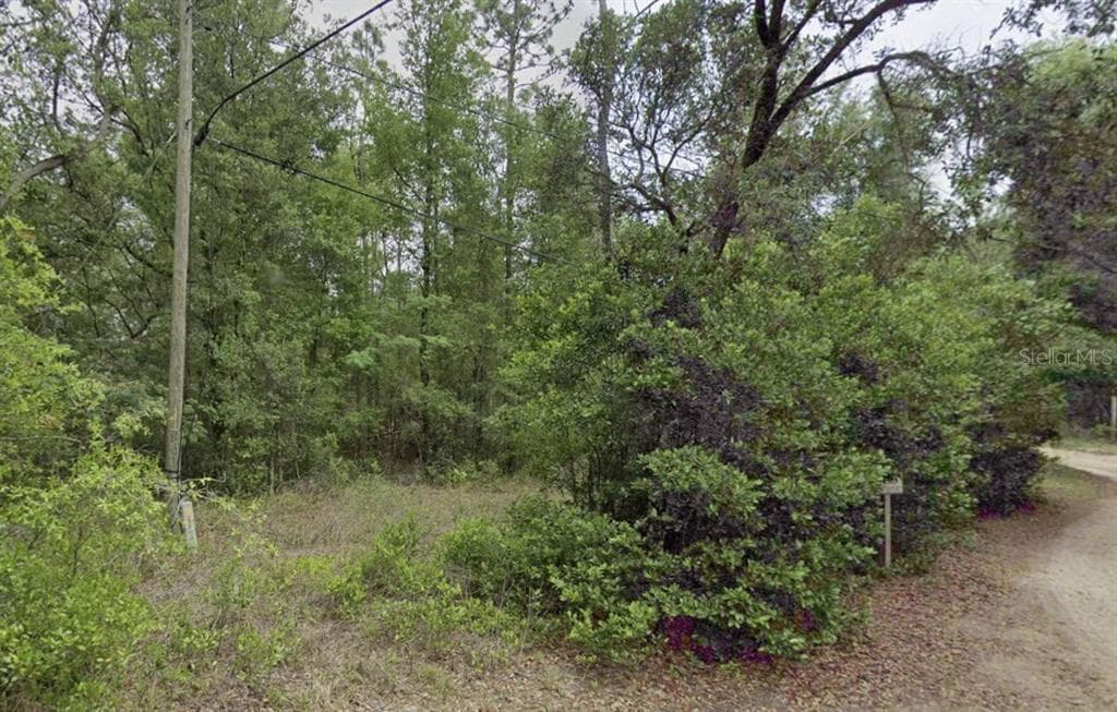 10013 N HOLYOAK TERRACE DUNNELLON, FL 34433