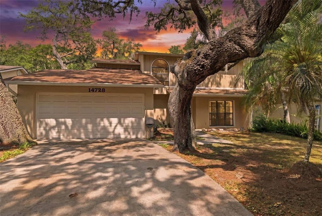 14728 TALL TREE DRIVE LUTZ, FL 33559