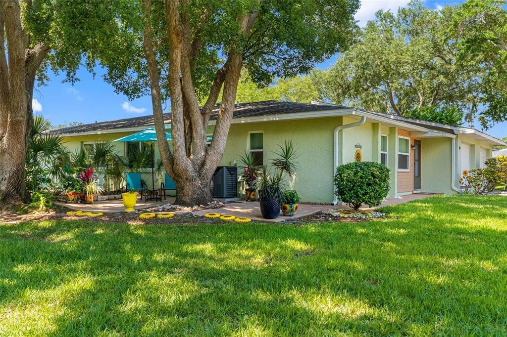 1150 ORANGE TREE CIRCLE E UNIT D PALM HARBOR, FL 34684