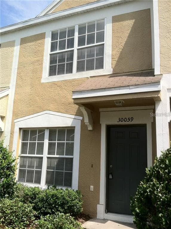 30059 GRANDA HILLS COURT WESLEY CHAPEL, FL 33543