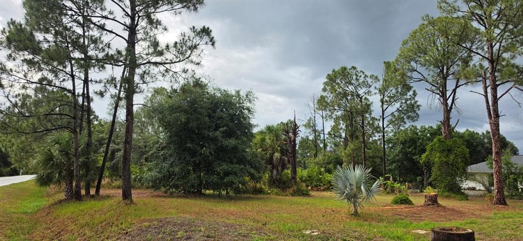 LOT 41 PERENNIAL ROAD NORTH PORT, FL 34291