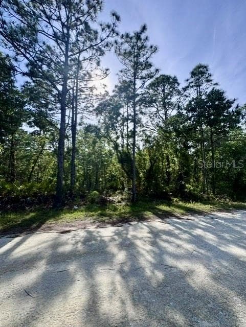MACEK ROAD WEEKI WACHEE, FL 34614