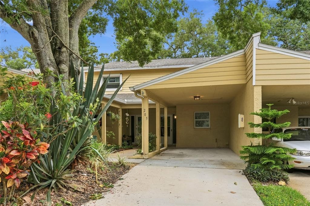205 SOMERSET LANE PALM HARBOR, FL 34684