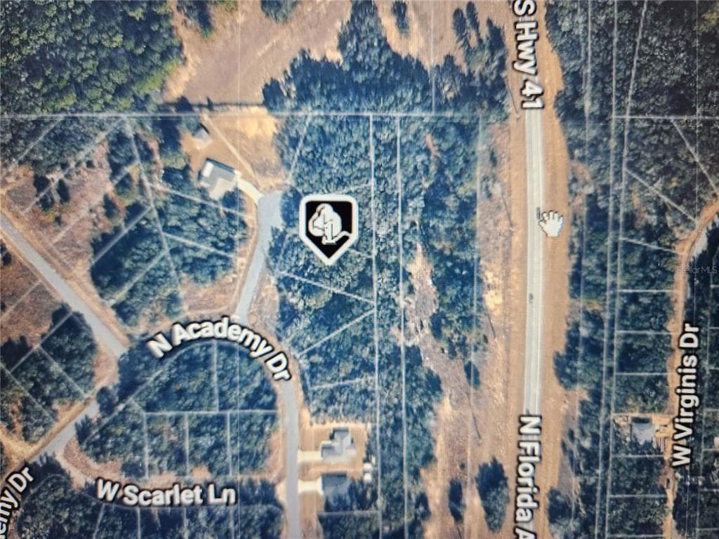 11197 N DENICE POINT DUNNELLON, FL 34434