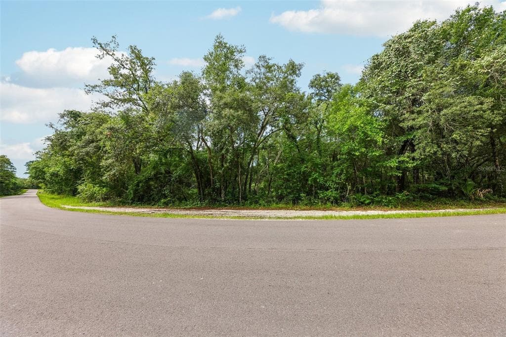 33340 TOMBSTONE ST WEBSTER, FL 33597