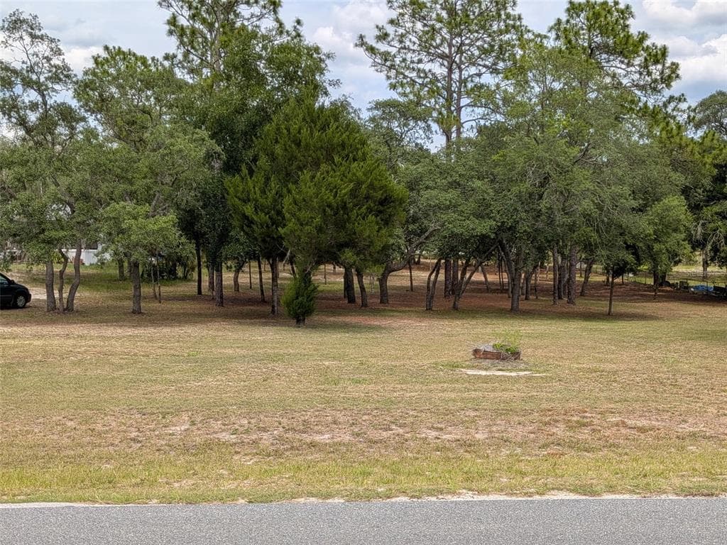 5717 S OLDFIELD AVENUE HOMOSASSA, FL 34446