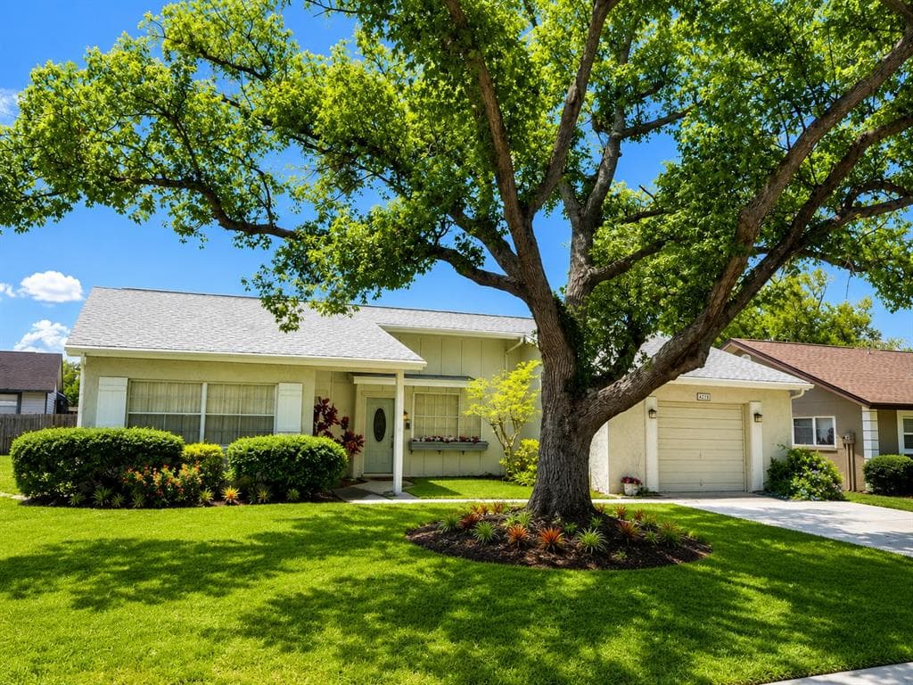 4238 PINEFIELD AVENUE HOLIDAY, FL 34691