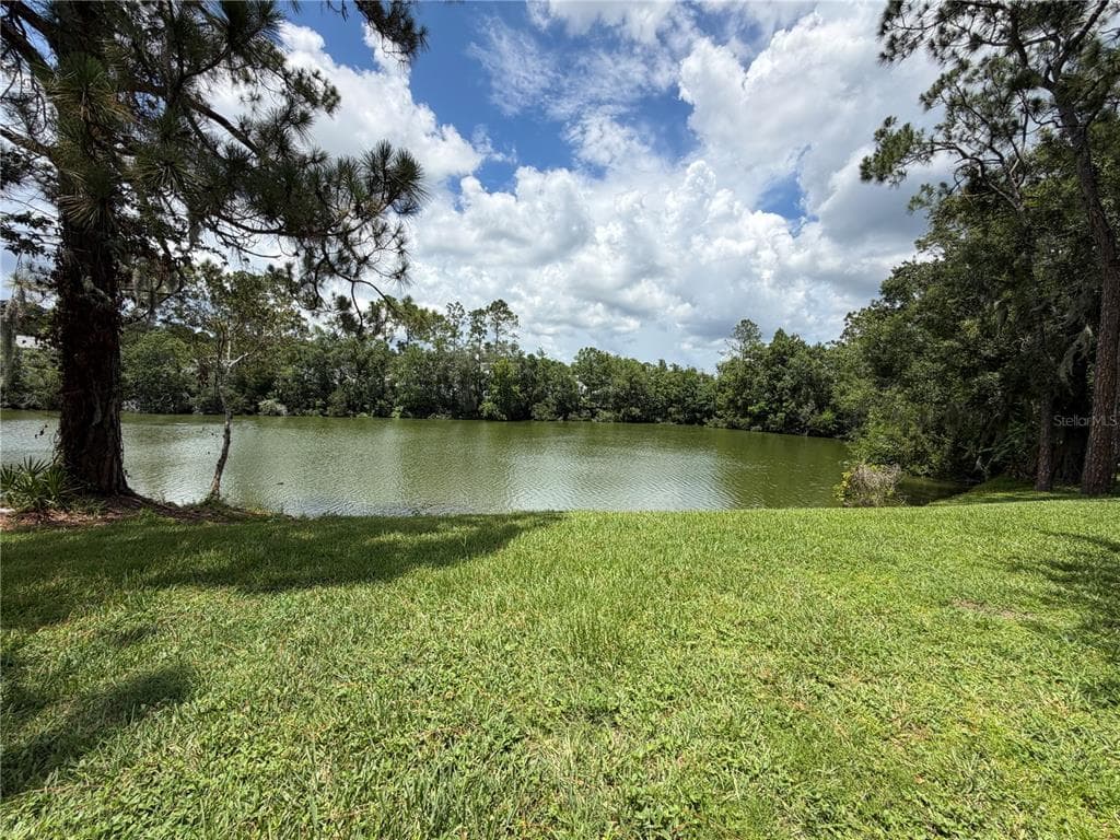 15637 MORNING DRIVE LUTZ, FL 33559