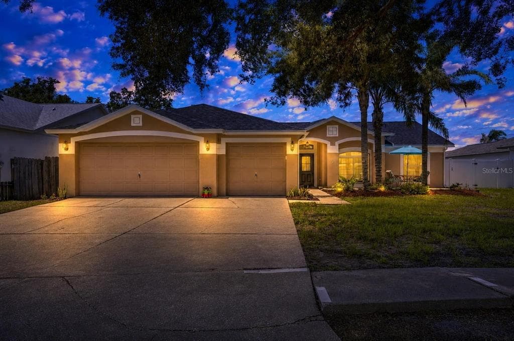10313 TARRAGON DRIVE RIVERVIEW, FL 33569