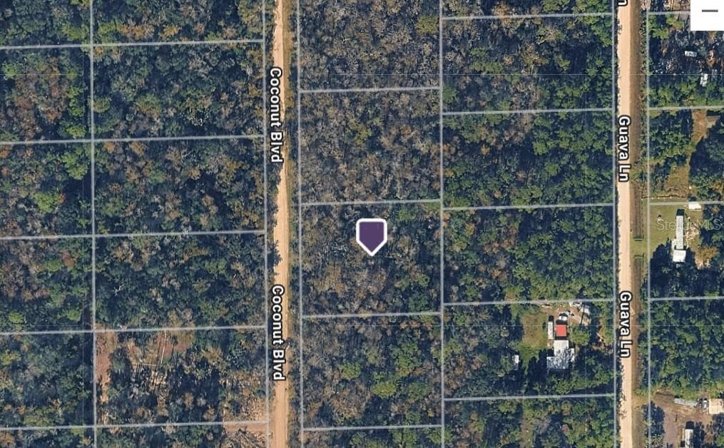 1743 COCONUT BOULEVARD BUNNELL, FL 32110