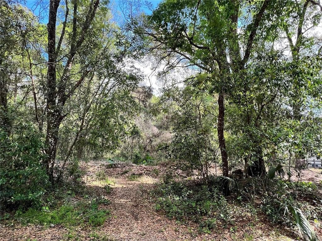 0 GARFIELD AVENUE BROOKSVILLE, FL 34604