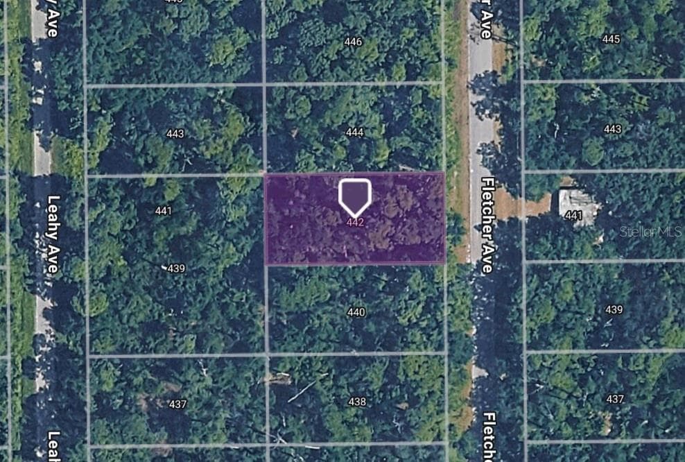 442 FLETCHER AVENUE LAKE PLACID, FL 33852