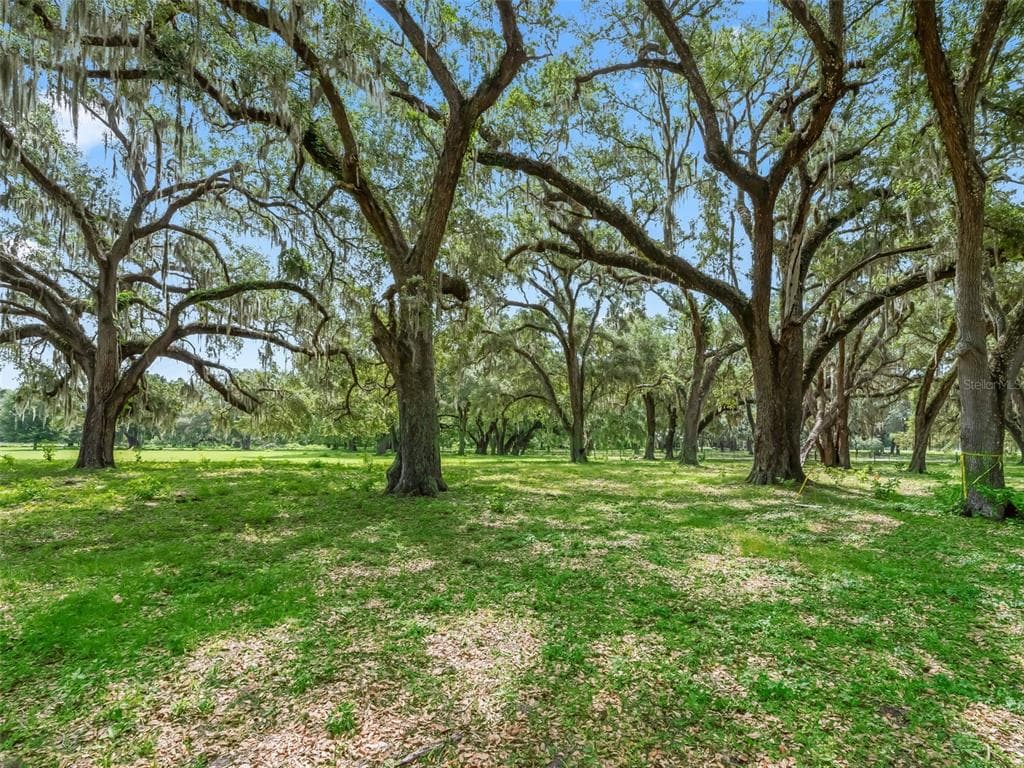 Lot 12 CR 543 BUSHNELL, FL 33513