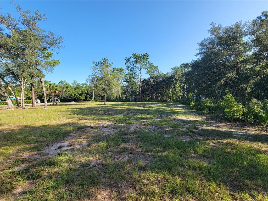 2075 S COLONIAL AVENUE HOMOSASSA, FL 34448