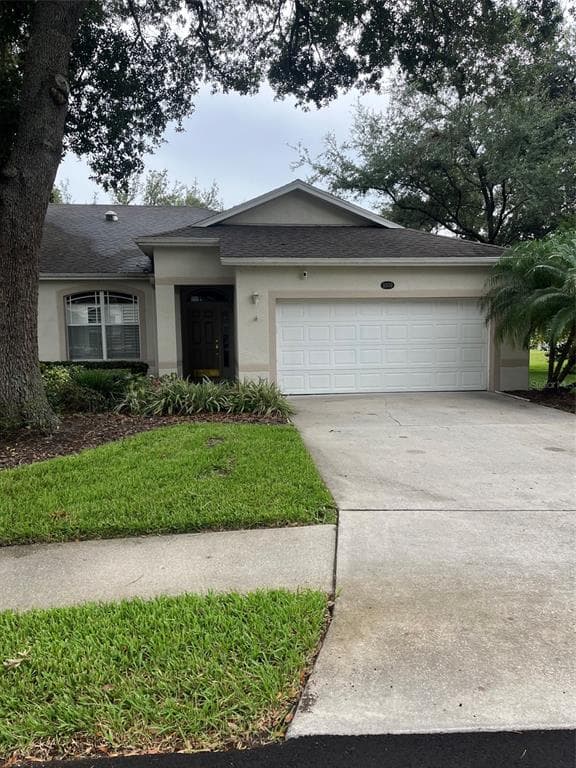 8509 ALEXANDRA ARBOR LANE TAMPA, FL 33637