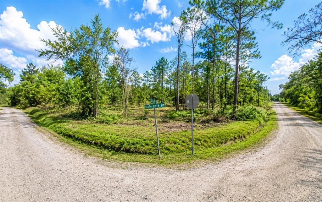 MILLROCK STREET WEBSTER, FL 33597
