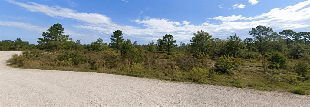 CORAL ROCK DRIVE WEBSTER, FL 33597