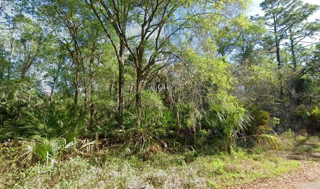 10772 WEST HEATH COURT CRYSTAL RIVER, FL 34428