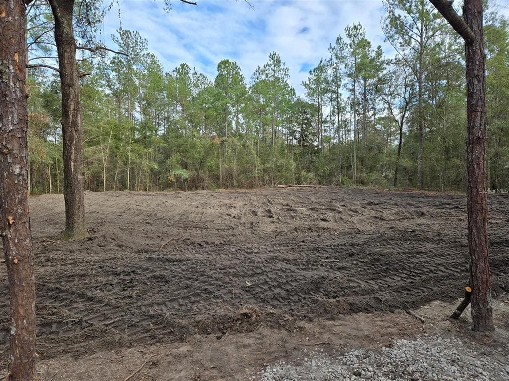 NE 127TH COURT WILLISTON, FL 32696
