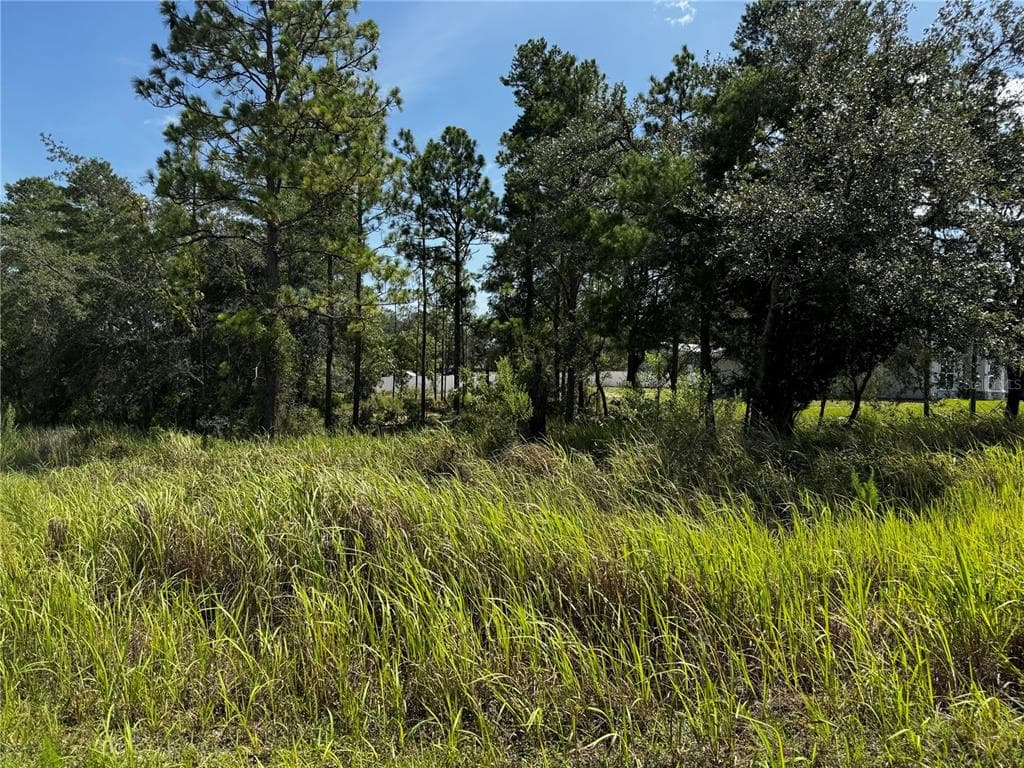 Lot 14 BARNEVELDE ROAD WEEKI WACHEE, FL 34614