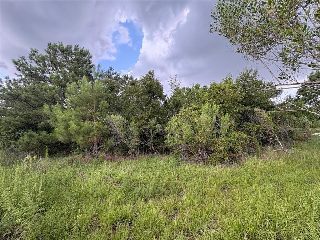 EVENING STAR UNIT 00 BROOKSVILLE, FL 34604