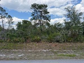 6470 ALICIA DRIVE SEBRING, FL 33872