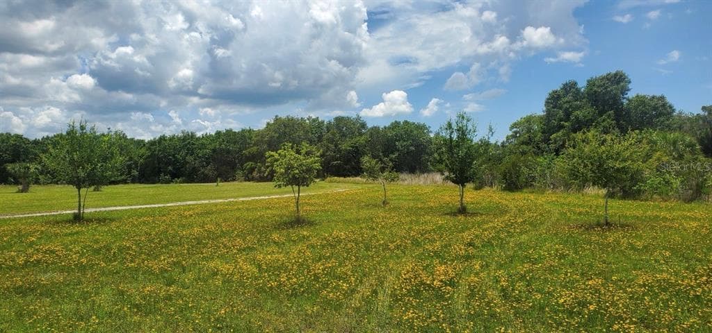 15908 W LAKE DRIVE WIMAUMA, FL 33598