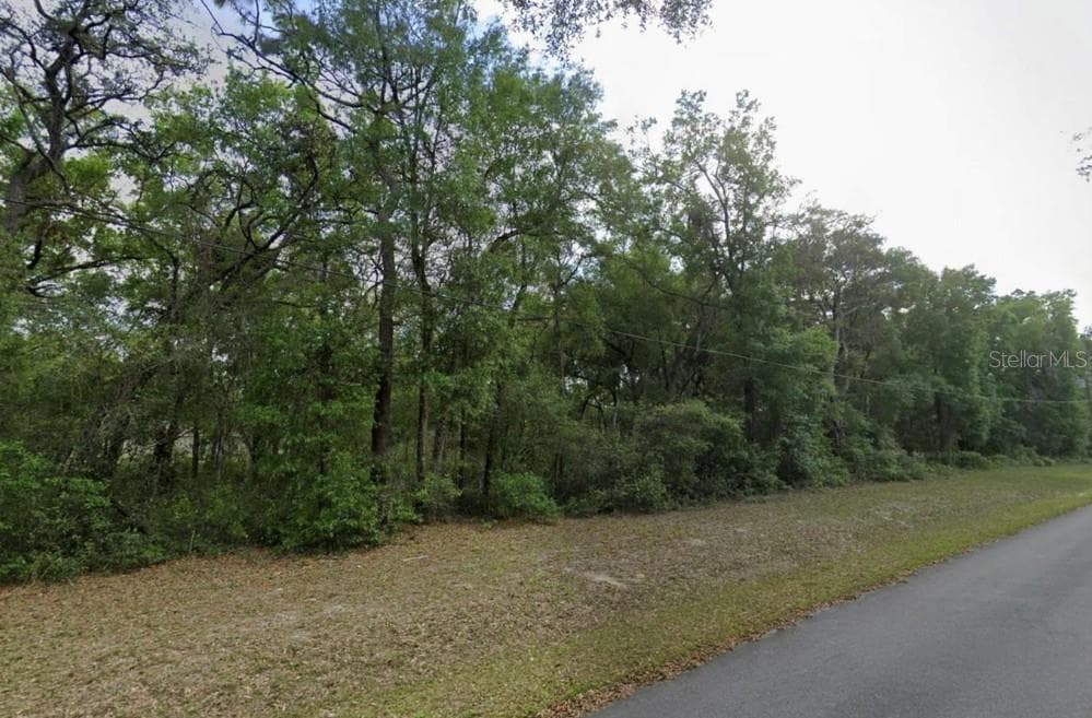 0 SE 59TH PLACE OCKLAWAHA, FL 32179