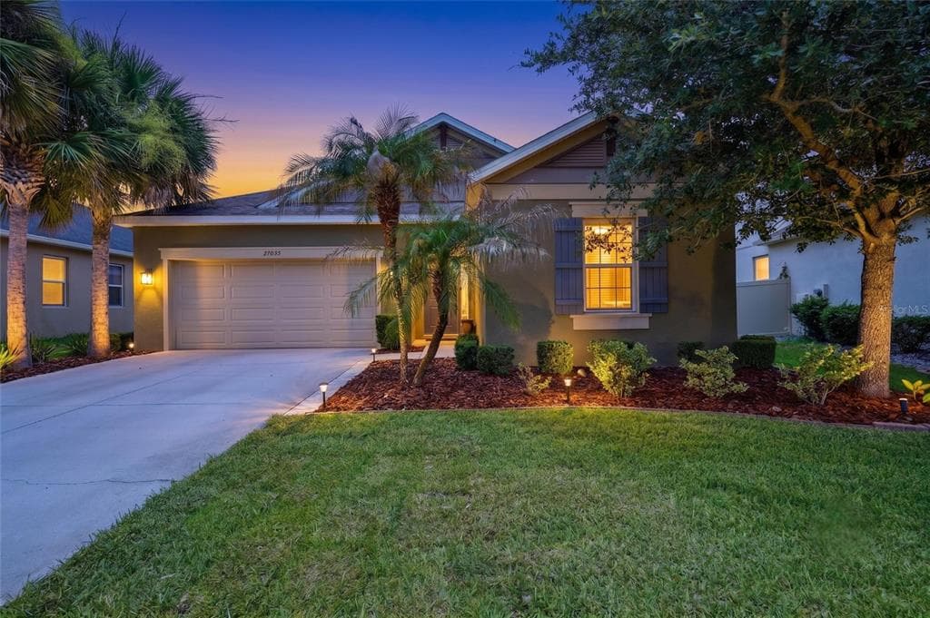 27035 CAROLINA ASTER DRIVE WESLEY CHAPEL, FL 33544