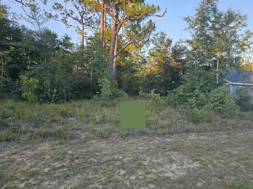 Lot 12 SHENANDOAH BOULEVARD CHIPLEY, FL 32428