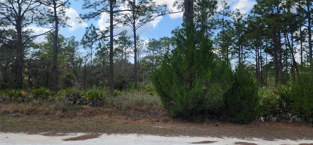 18119 PARROT ROAD WEEKI WACHEE, FL 34614