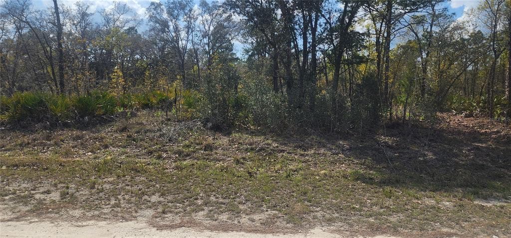 18043 RAMSEY ROAD