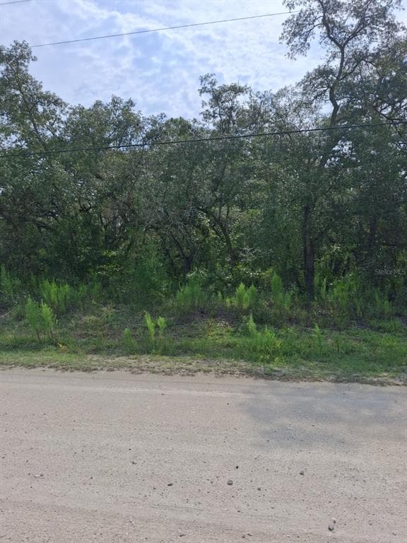 18364 PARAKEET ROAD WEEKI WACHEE, FL 34614