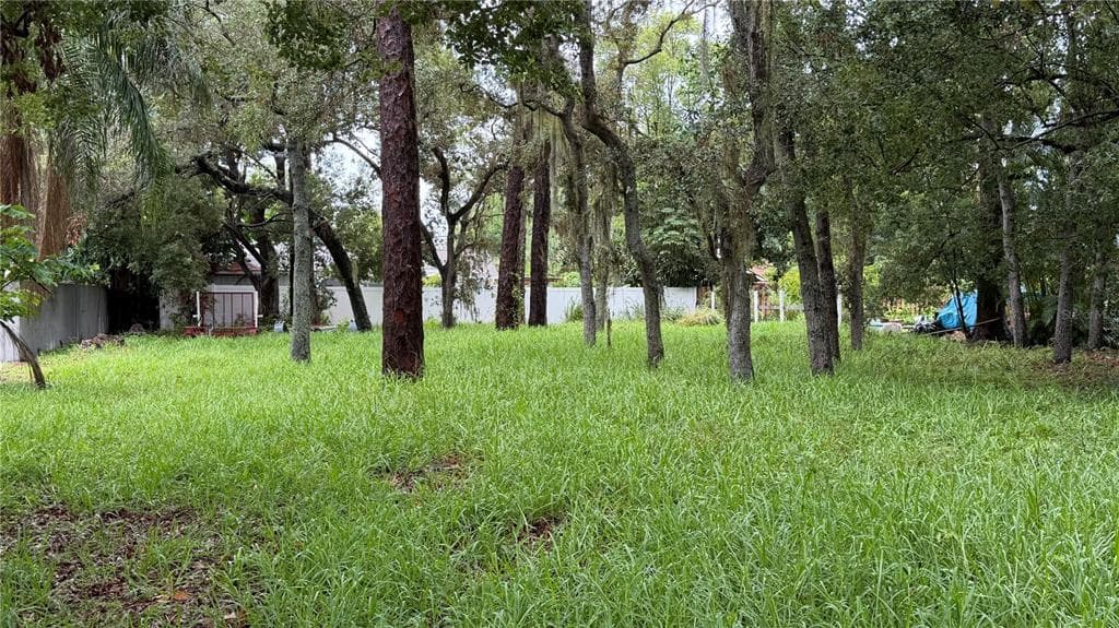 TALLAHASSEE DRIVE TARPON SPRINGS, FL 34689
