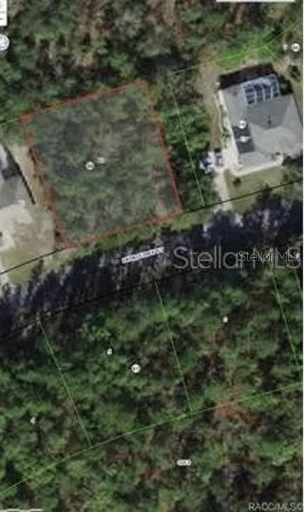 38 FRINGETREE STREET HOMOSASSA, FL 34446