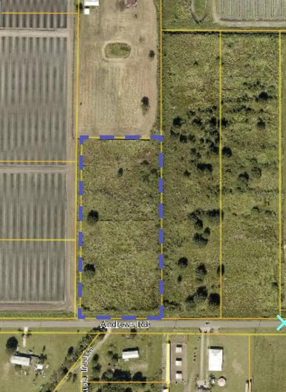 12532 ANDREWS ROAD WIMAUMA, FL 33598