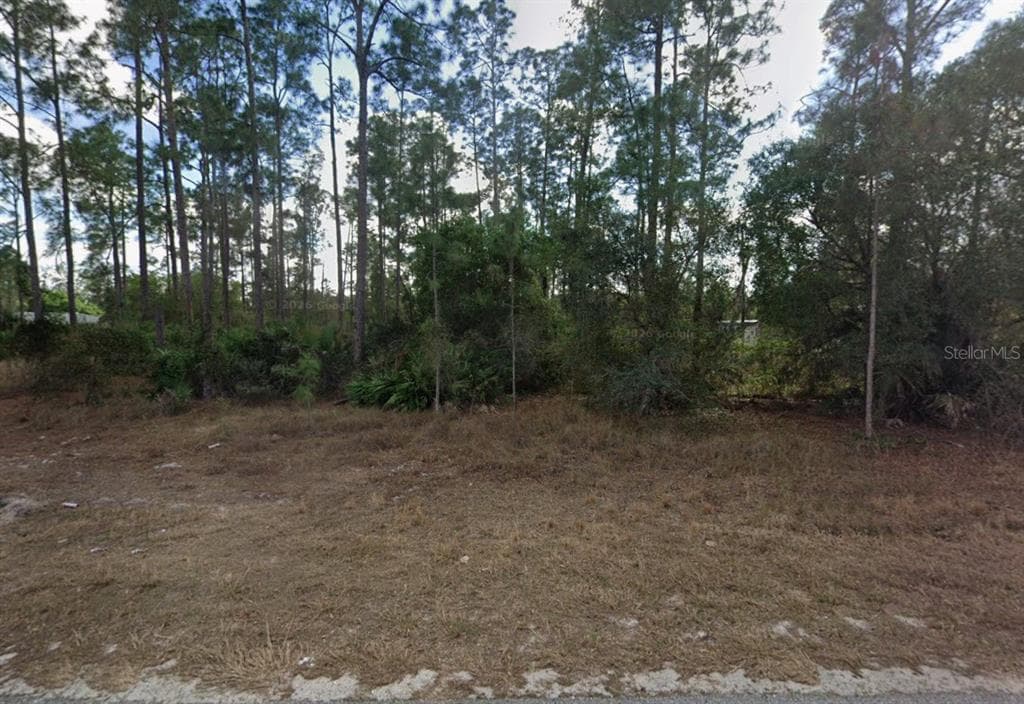1404 E 15TH STREET LEHIGH ACRES, FL 33972