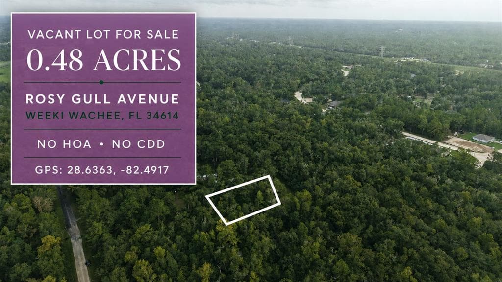 14186 ROSY GULL AVENUE WEEKI WACHEE, FL 34614